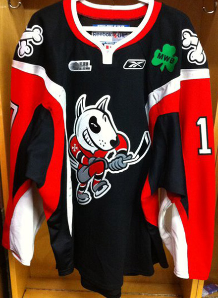 Niagara IceDogs