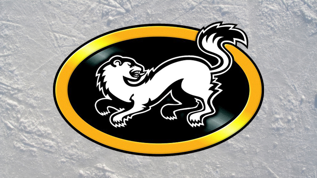 Představujeme soupeře Lvů v Lize mistrů 2018/19: Kärpät Oulu
